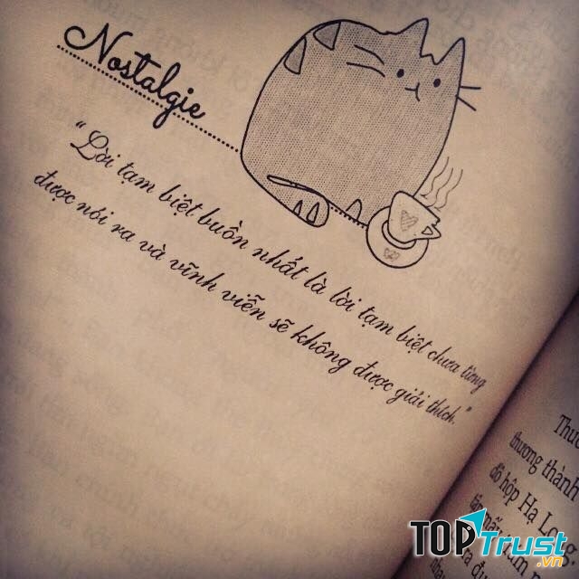 Lời tạm biệt sau cùng