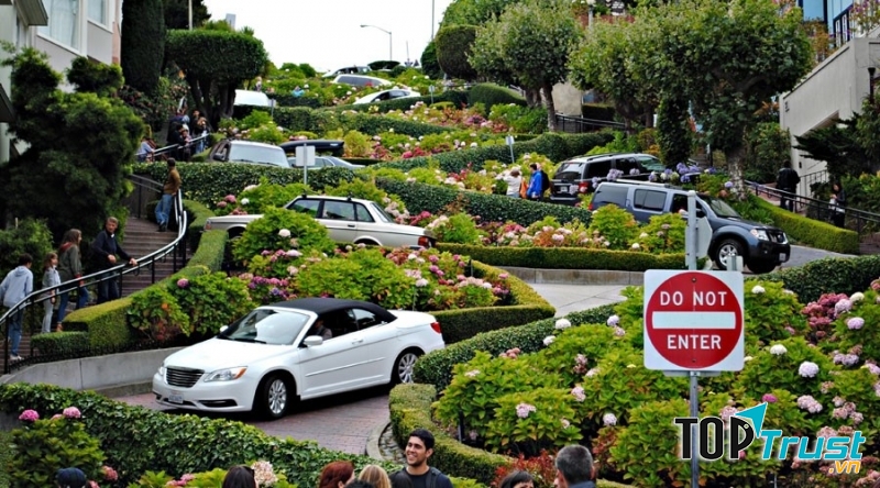 Lombard Street không chỉ là một trong những con đường hoa nổi tiếng nhất trên thế giới mà còn gây ấn tượng bởi độ dốc và ngoằn ngoèo