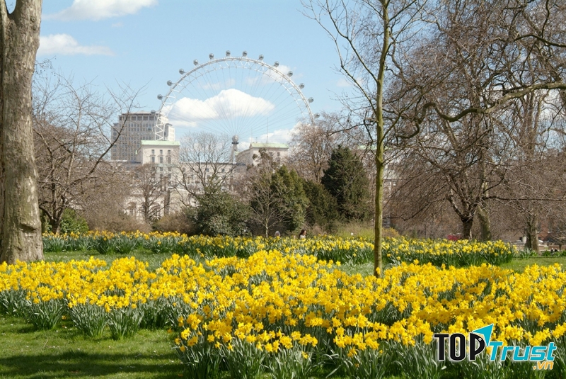 Một góc công viên tràn ngập hoa với tầm nhìn hướng tới vòng quay Thiên niên kỷ