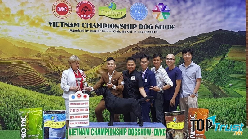 LongBien LabradorKannel