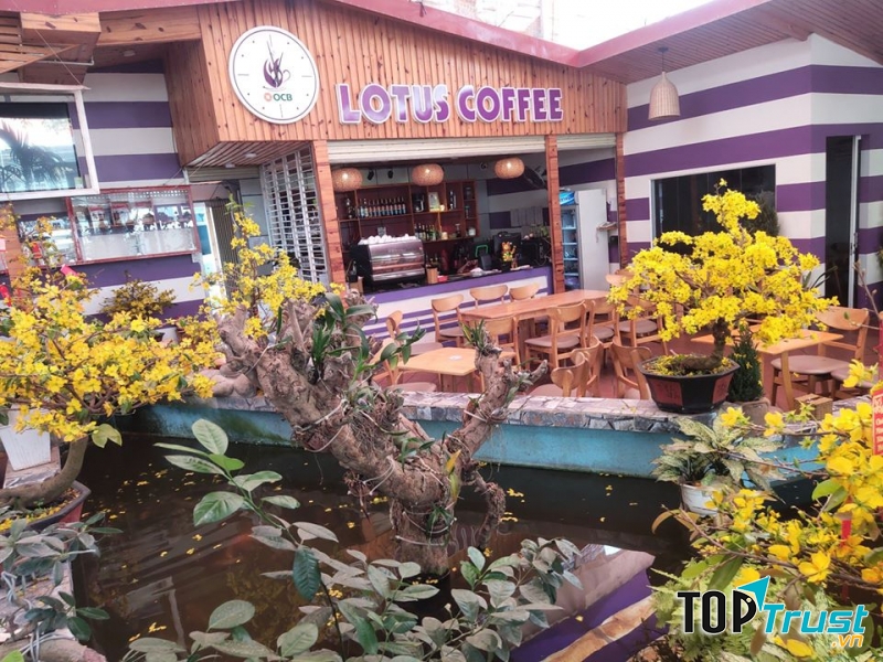 Lotus Coffee