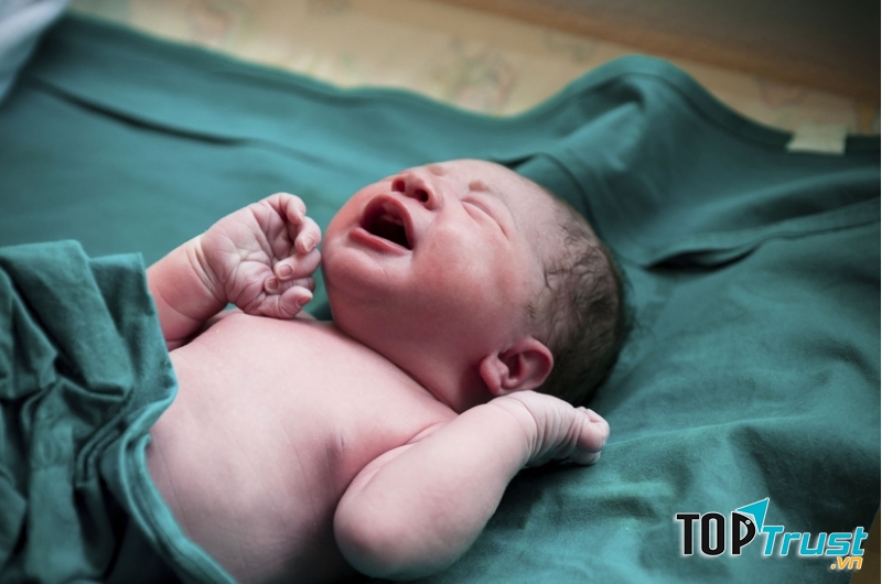 Ảnh minh họa - nguồn internet