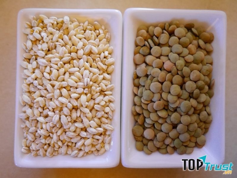 Lúa mạch và đậu lăng
