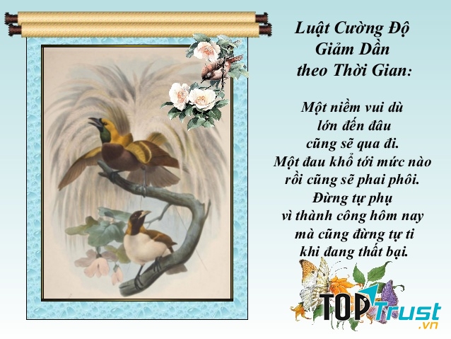 Luật cường độ giảm dần theo thời gian