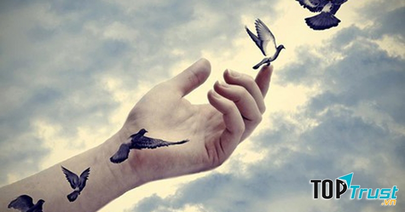 Luật cường độ giảm dần theo thời gian