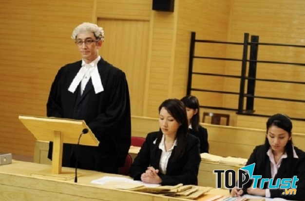 Ngành luật đang có rất nhiều tiềm năng phát triển trong tương lai