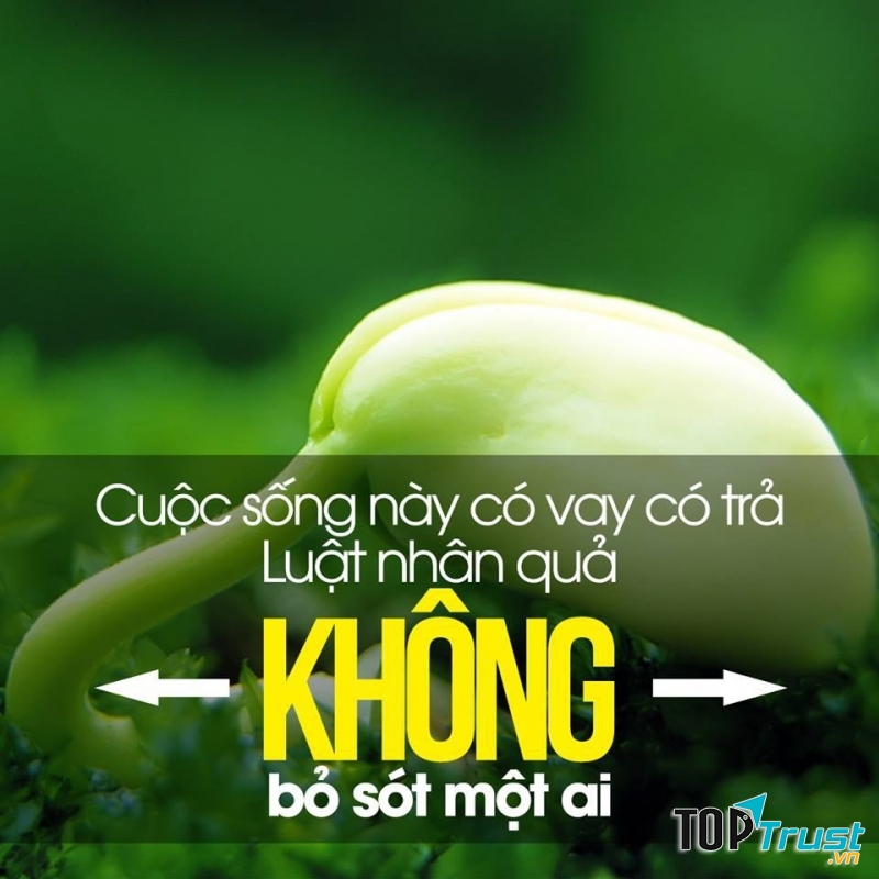 Luật nhân quả