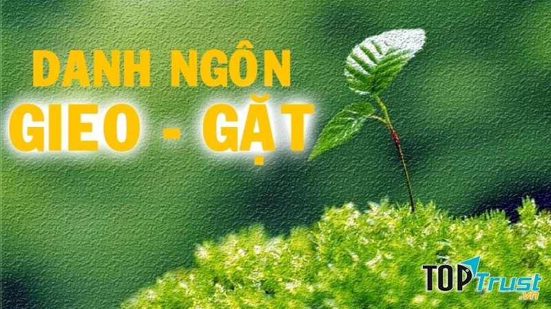 Luật nhân quả