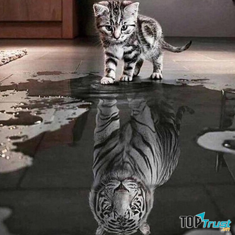 Luật tự kỷ ám thị