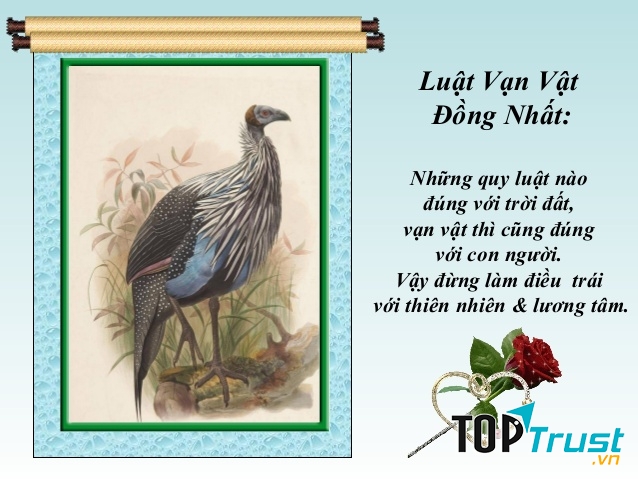 Luật vạn vật đồng nhất