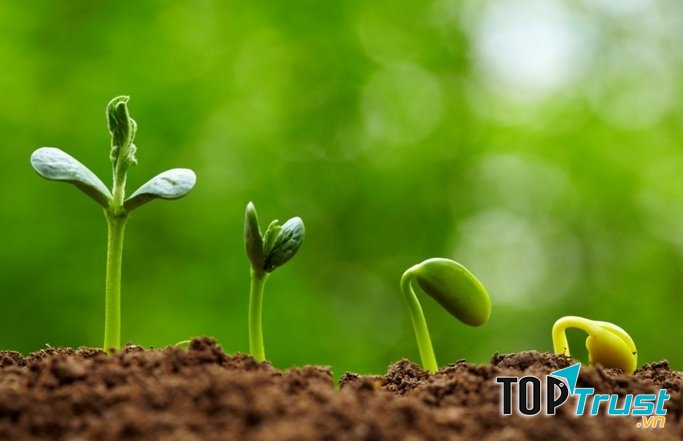 Luật về sự tương tác