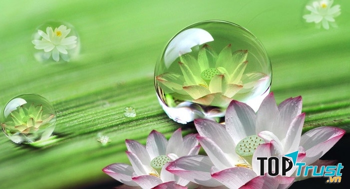 Luật vô thường