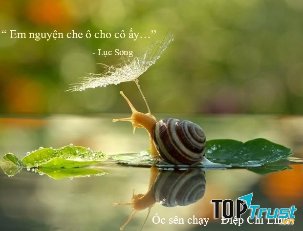 Lục Song - Ốc sên chạy, Điệp Chi Linh