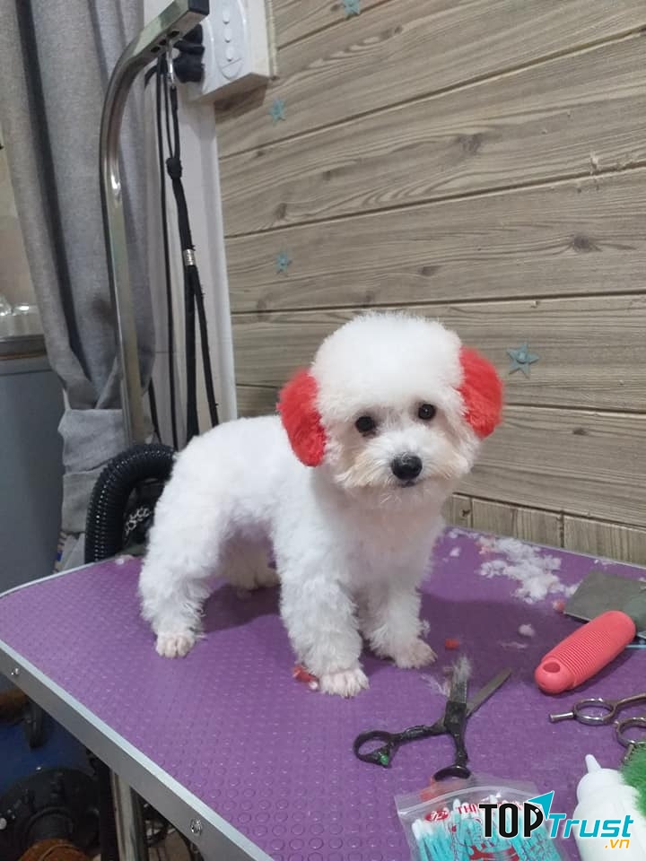 LuLu Pet Shop