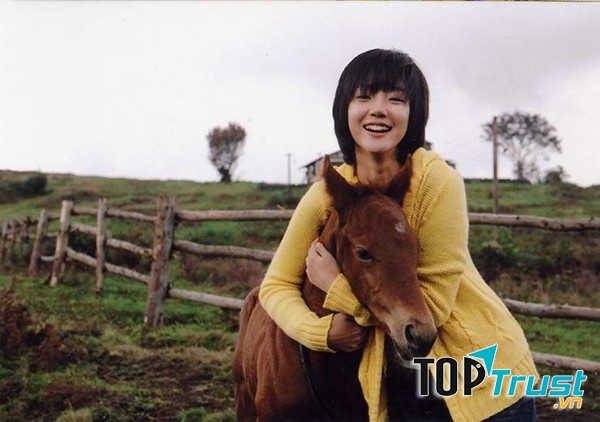 Lump to Sugar (Viên kẹo đường)