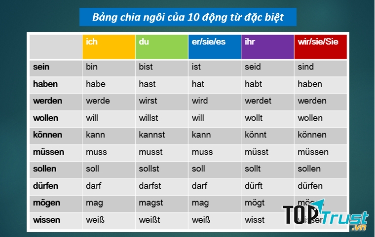 Ảnh minh họa (Nguồn internet)