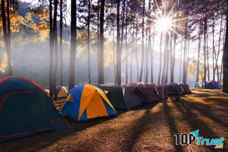 Thuê lều của Lượn Store để đi dã ngoại ngoài trời