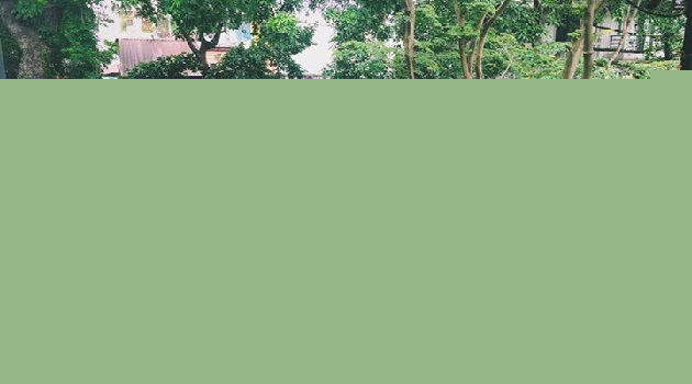 Lutulata - Cafe mang âm hưởng thời phong kiến