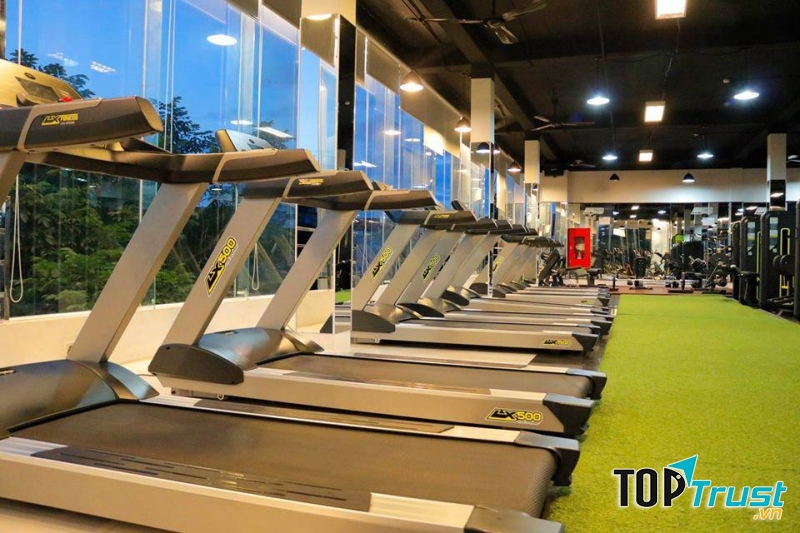 Thiết bị tại LX Fitness