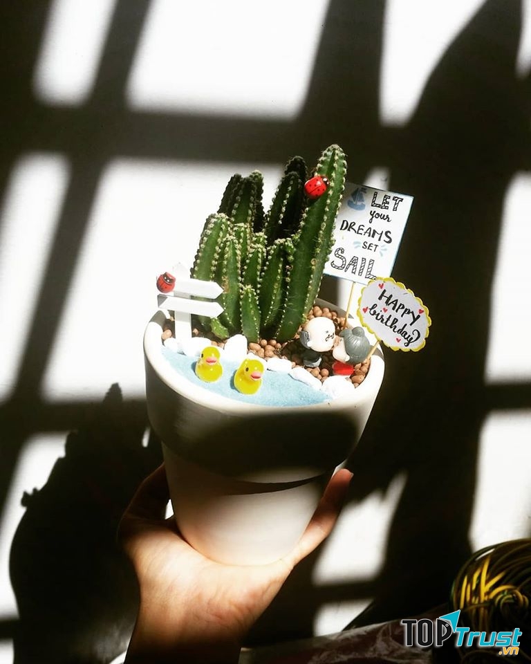 Lynn's Garden - Sen đá Vũng Tàu