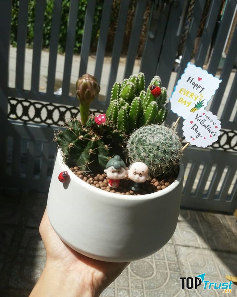 Lynn's Garden - Sen đá Vũng Tàu