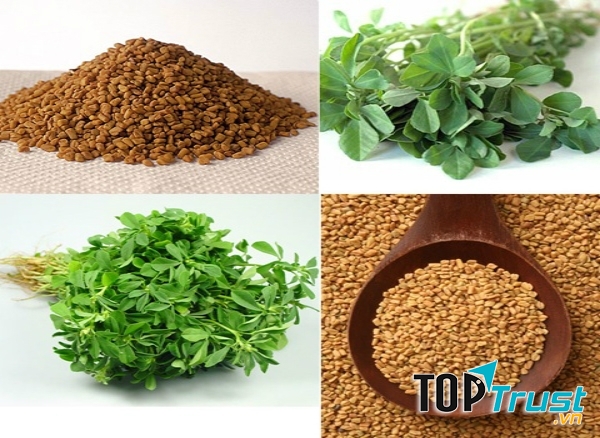Sử dụng hạt cỏ cà ri