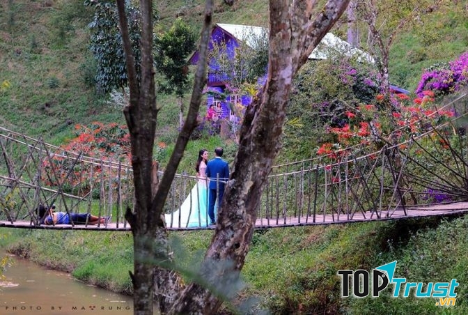 Ma rừng lữ quán