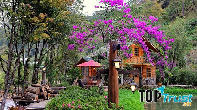 Ma Rừng Lữ Quán