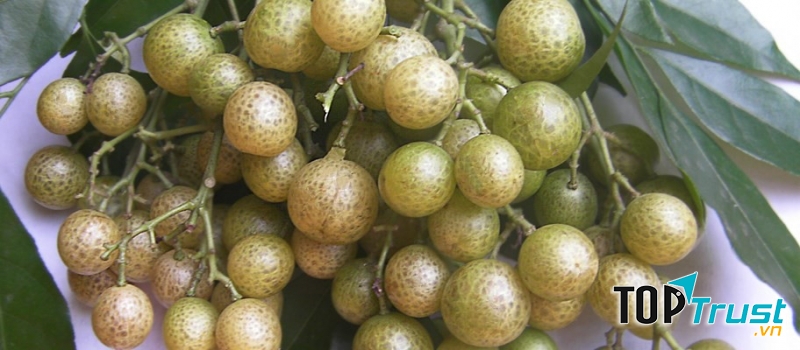 Qủa mắc mật