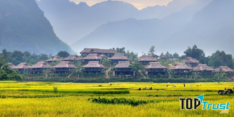Khu nghỉ dưỡng nằm giữa đồng lúa chín