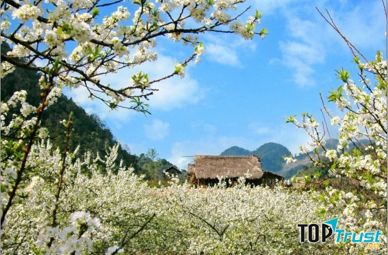 Mai Châu, Hòa Bình