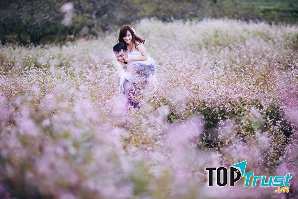Ảnh cưới đẹp mộng mơ tại Mai Châu, Hòa Bình