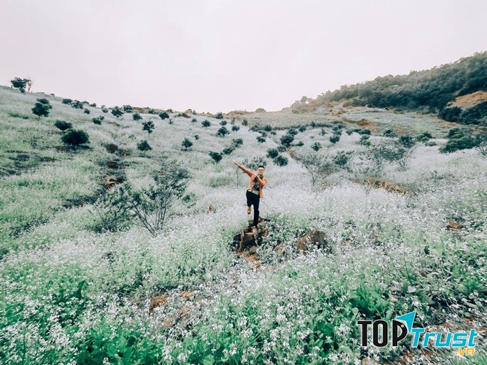 Mai Châu, Hòa Bình