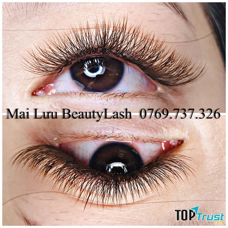 Mai Lưu Beauty Lash