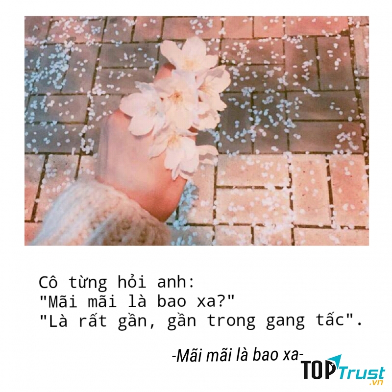 Mãi mãi là bao xa - Diệp Lạc Vô Tâm