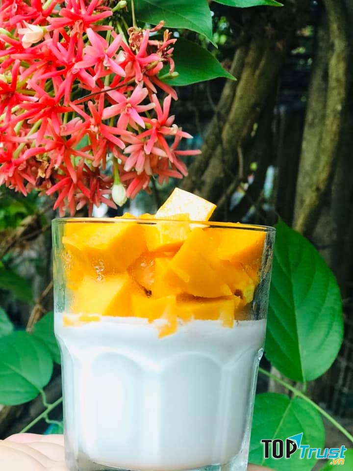 Mầm coffee tea beer