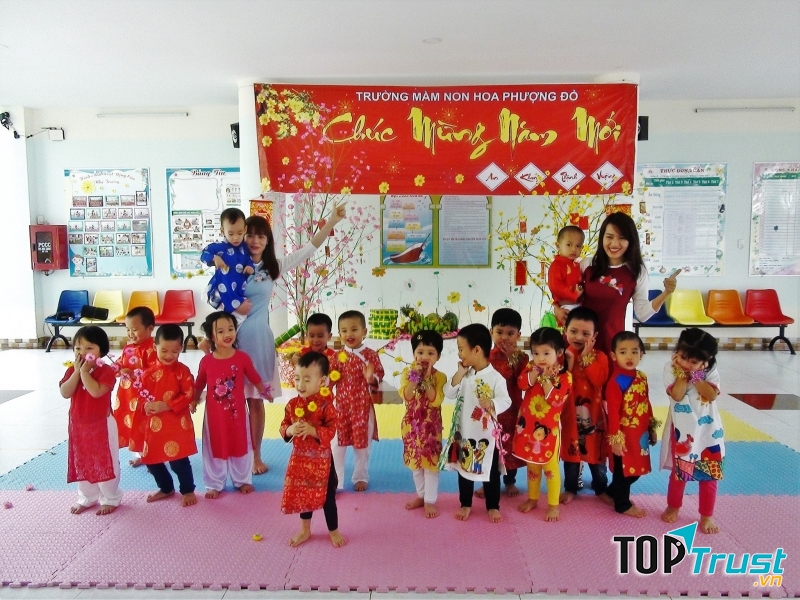 Mầm Non Hoa Phượng Đỏ