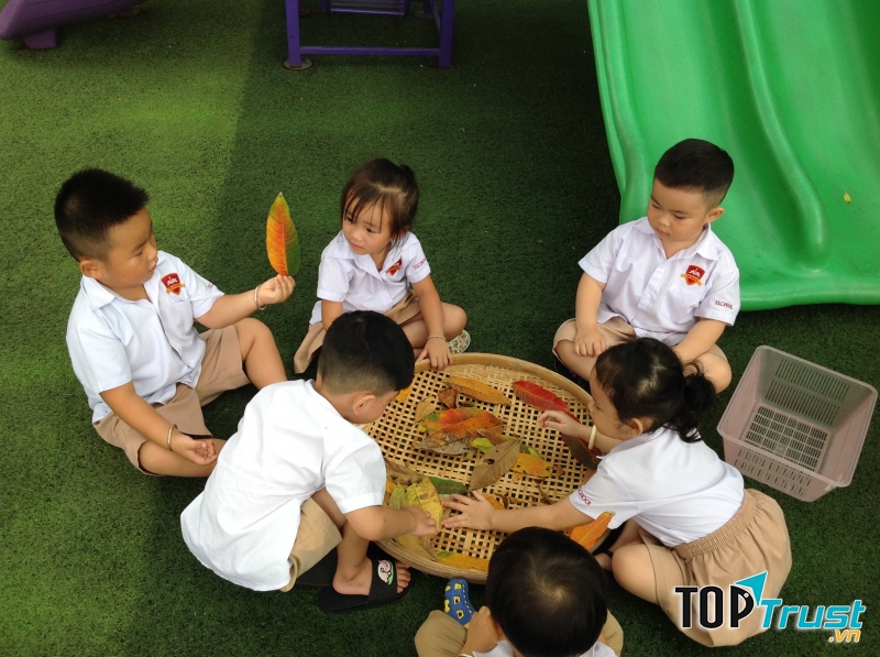 Trường có cơ sở vật chất hiện đại, khang trang, nhiều cây xanh, là môi trường học tập và vui chơi tuyệt vời cho các bé.