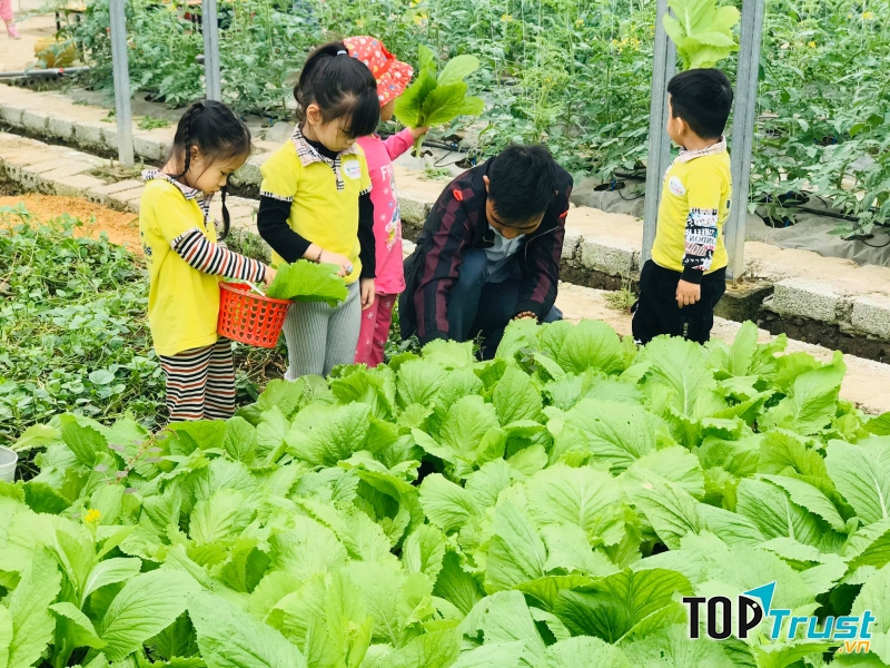 Mầm non song ngữ thực hành Talent Kids