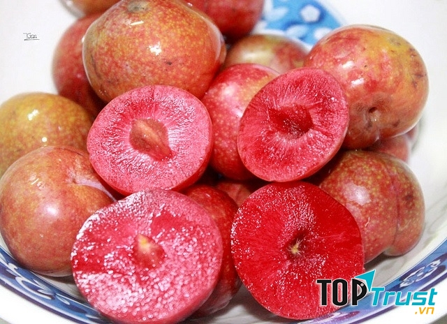 Tháng 5 hàng năm chính là lúc mận ở Mộc Châu bước vào vụ thu hoạch