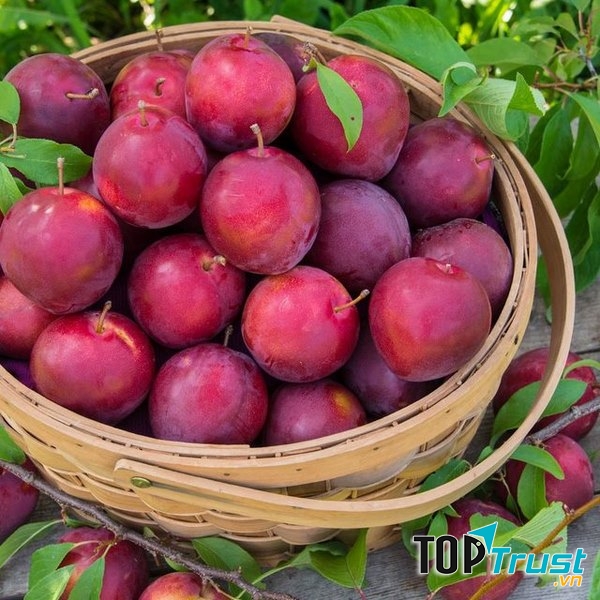 Mận giảm mỡ bụng.