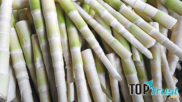 Măng đắng ngàn me