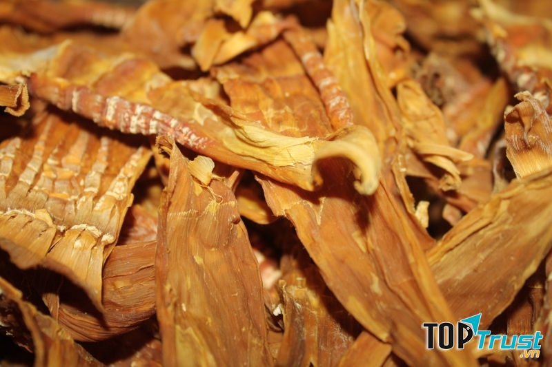 Nên chọn măng có màu vàng hơi nâu, lưu mùi hương đặc trưng