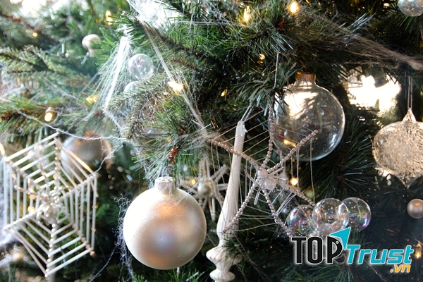 Mạng nhện treo trên cây thông Noel ở Ucraina