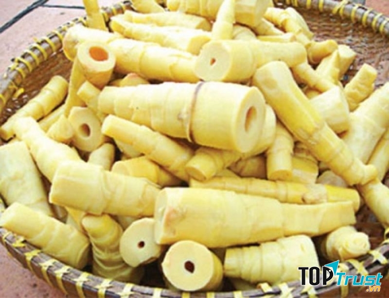 Măng tươi có nhiều độc tố