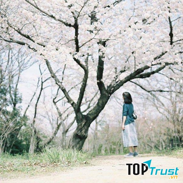 Mạnh kiếp có thiên nhiên