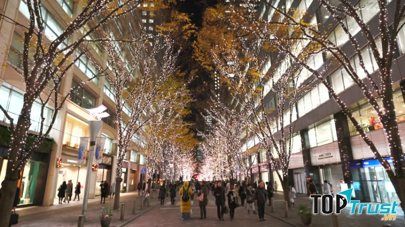 Dọc theo đường có trồng cây xanh ở Marunouchi Naka-dori