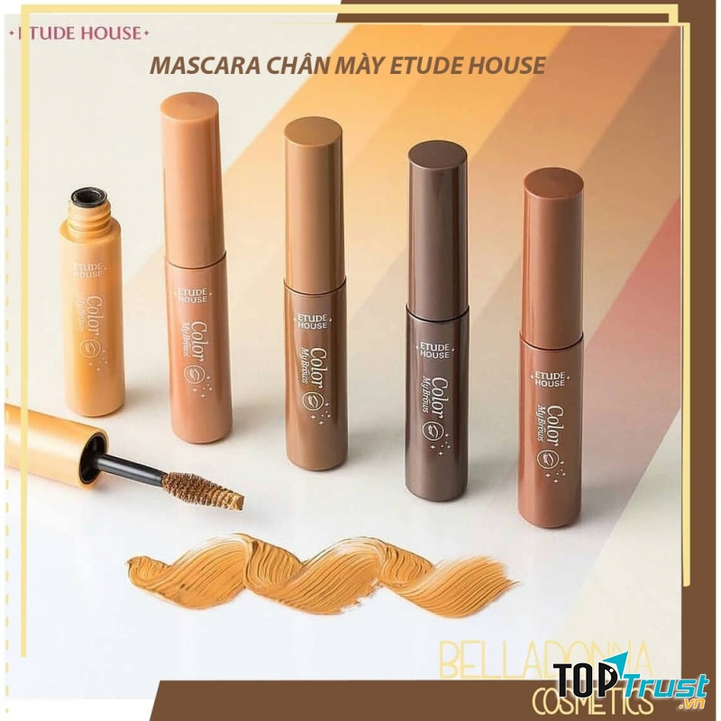 Mascara kẻ mày Etude House Color My Brows