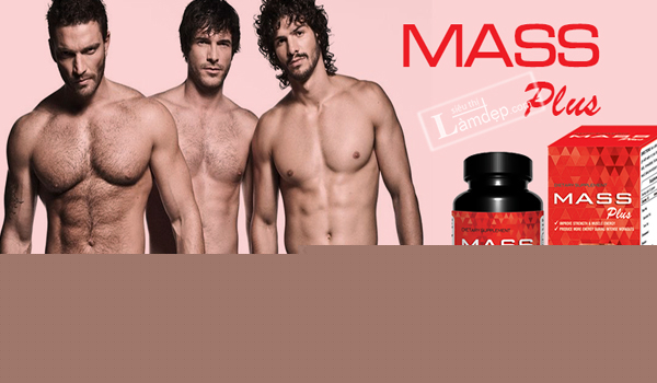 Mass Plus
