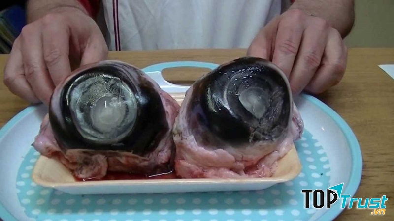 Mắt cá ngừ - Nhật Bản